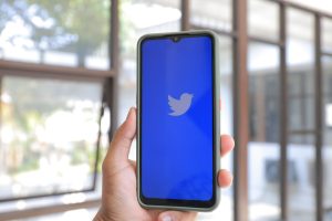 Twitter Ads: ventajas e inconvenientes de la publicidad en Twitter - pexels greenwish 13240226 300x200