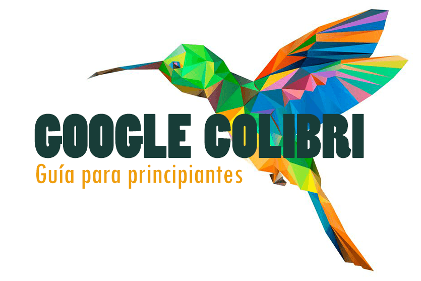 Google Colibri para principiantes: todo lo que necesitas saber sobre el algoritmo