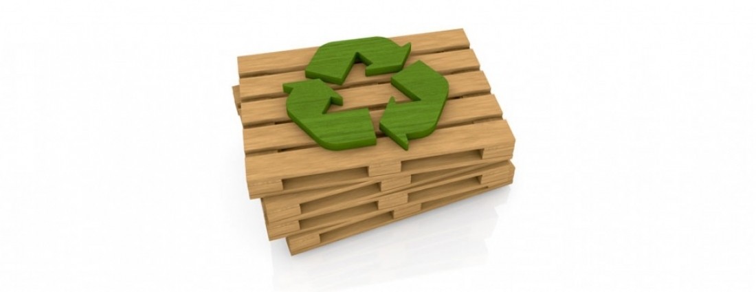 Packaging sostenible para una logística más verde - ecologística articulo totalwinepack