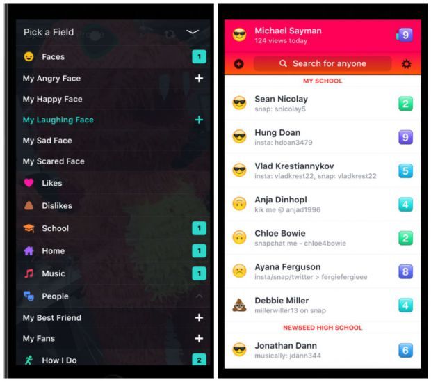 LifeStage, la nueva app de Facebook para competir con Snapchat - recorte620 lifestage