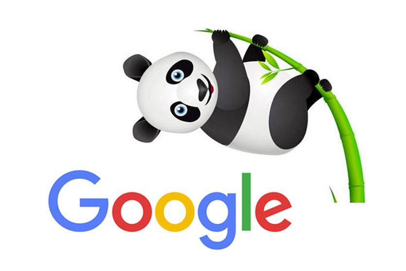 Google Panda: cómo funciona