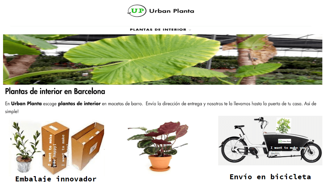 Ganadores de la Semana del Emprendedor