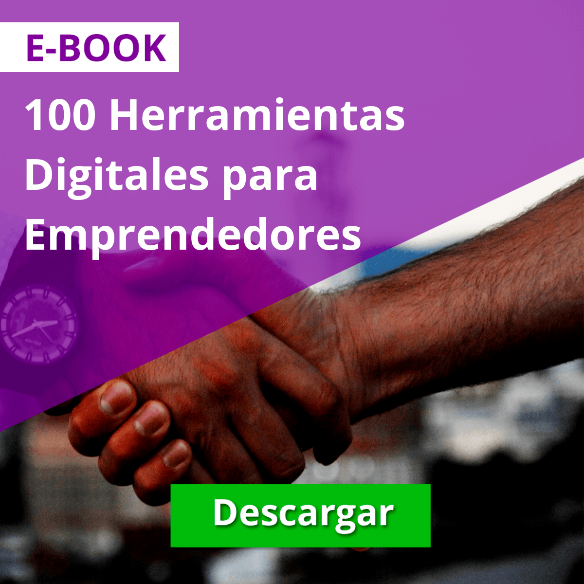 Recurso Online