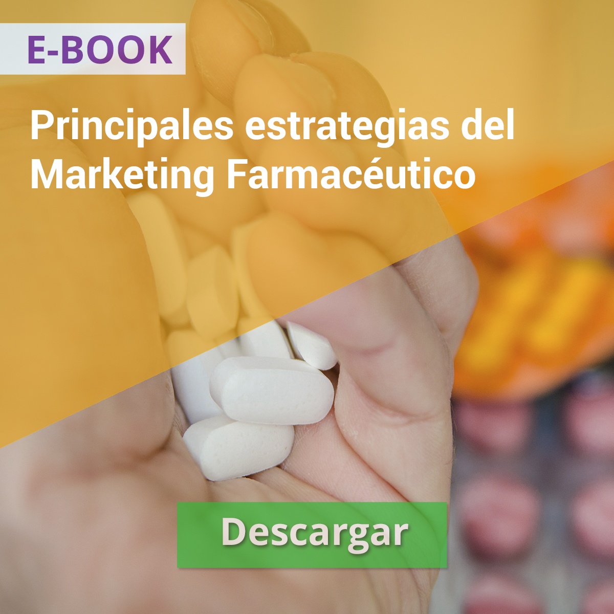 Recurso Online