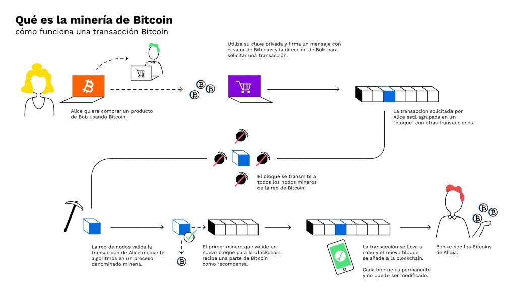 Las 10 criptodivisas (o criptomonedas) con más futuro - bitpanda 1024x576