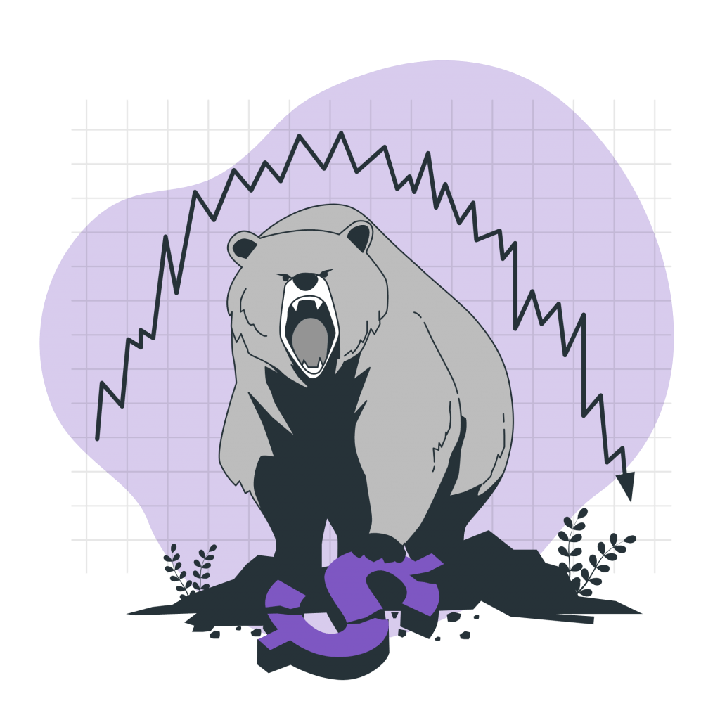 Guía de valoración de empresas para 2024 - Bear market bro 1024x1024