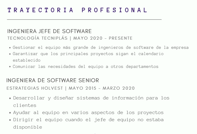 Curriculum vitae: cómo hacer uno, plantillas y ejemplos - image 6