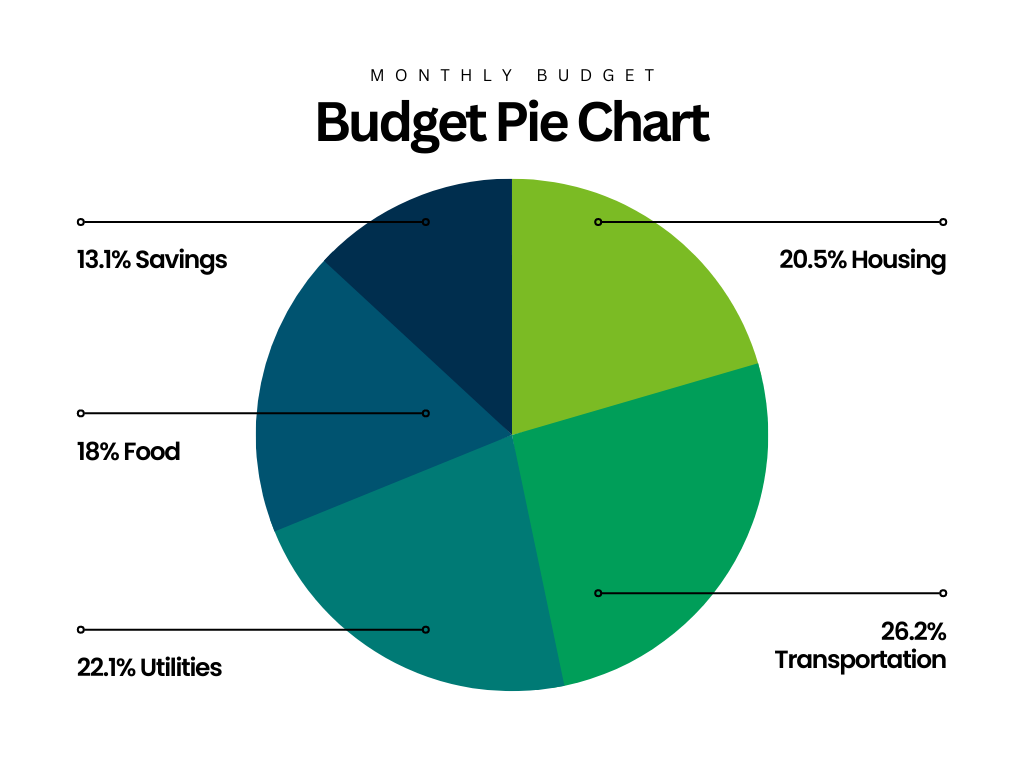 Visualización de datos: convierte tus datos en gráficos fáciles de entender - Budget Pie Chart