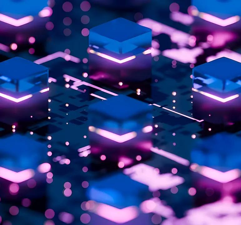 Imagen sobre la experiencia en IEBS