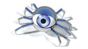 araña web