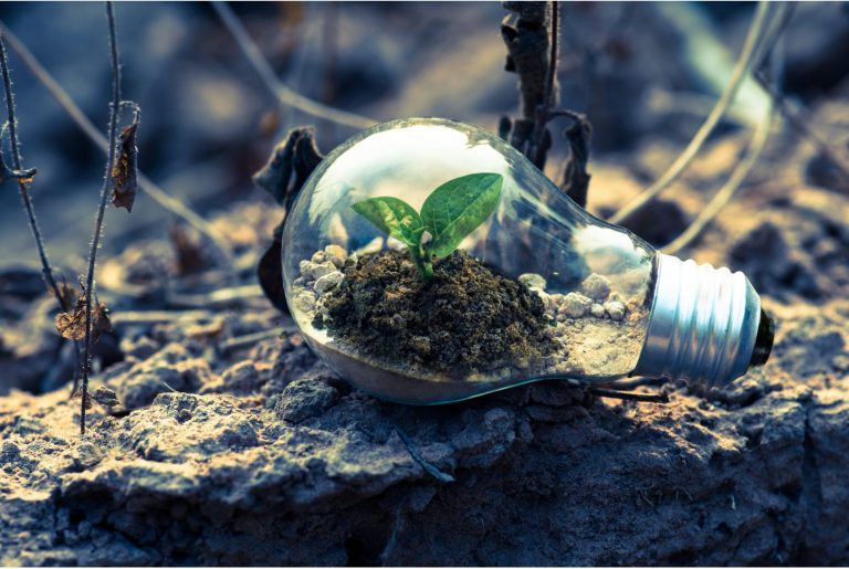 Qué es el Greenwashing y cómo funciona Qué es el Greenwashing y cómo funciona