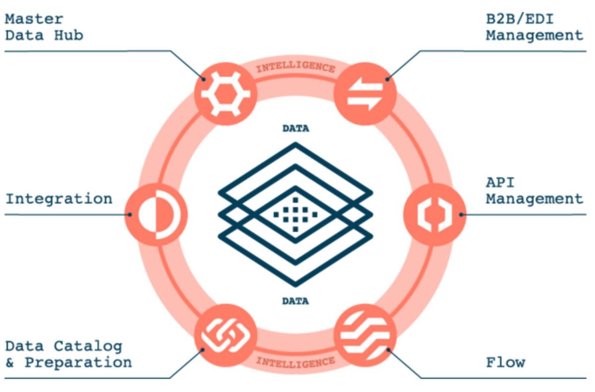 Qué es un Data Manager: principales funciones y salario | IEBS Business ...