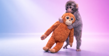 La historia del mono Punch: un caso de marketing viral, newsjacking y real time marketing - Punch2 363x188