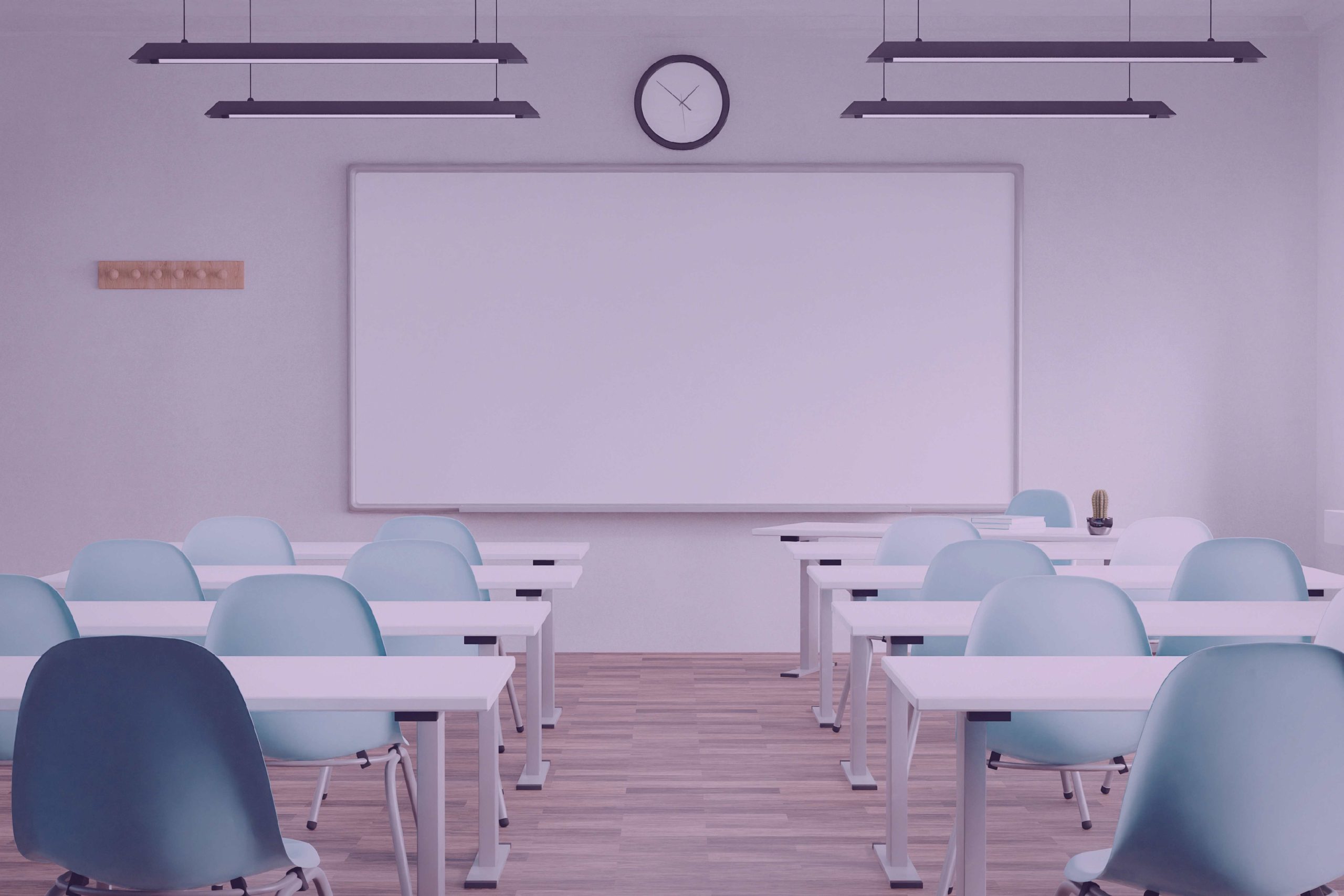 El arte de transformar la vulnerabilidad en emprendimiento de impacto con Vanconverde