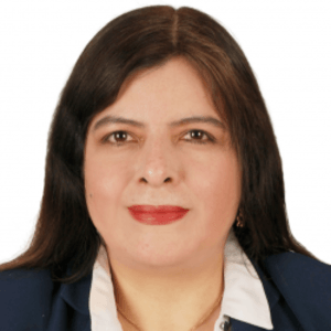 Elizabeth Hercilia Vilchez Perez