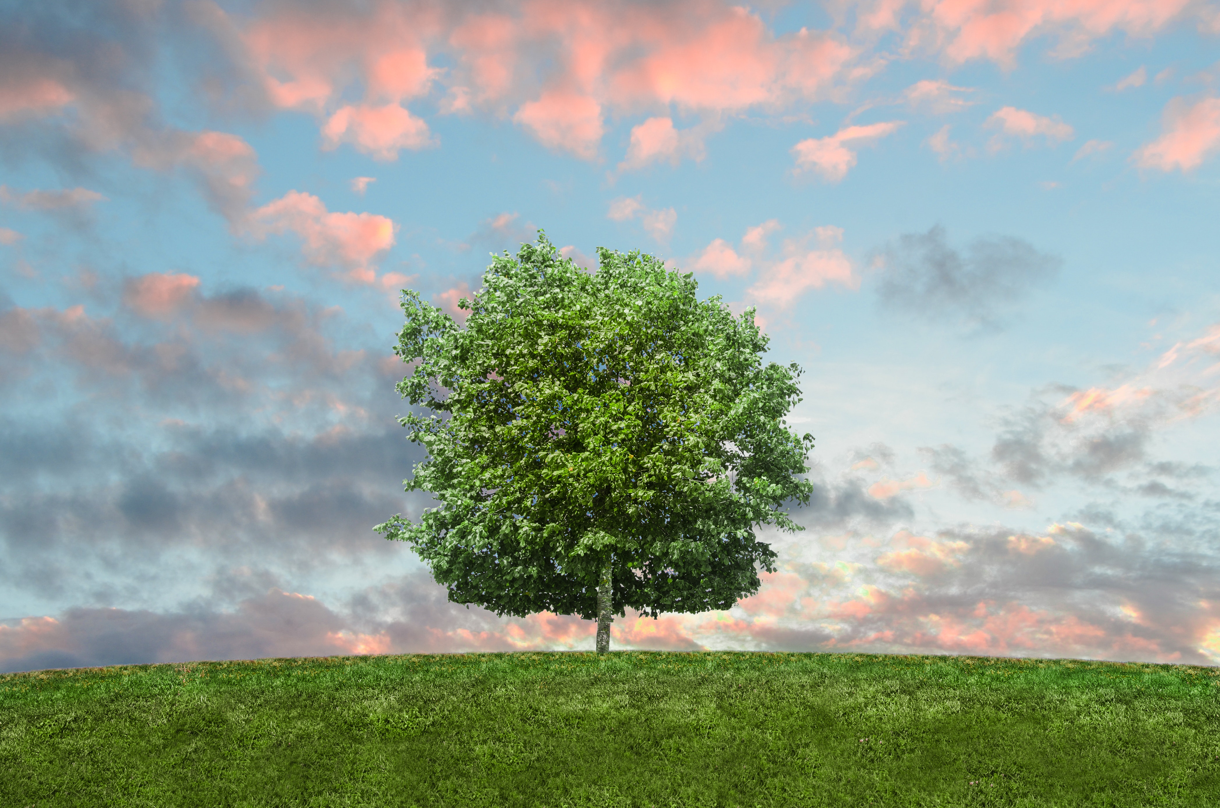O que é Marketing Verde e exemplos de como as marcas o utilizam